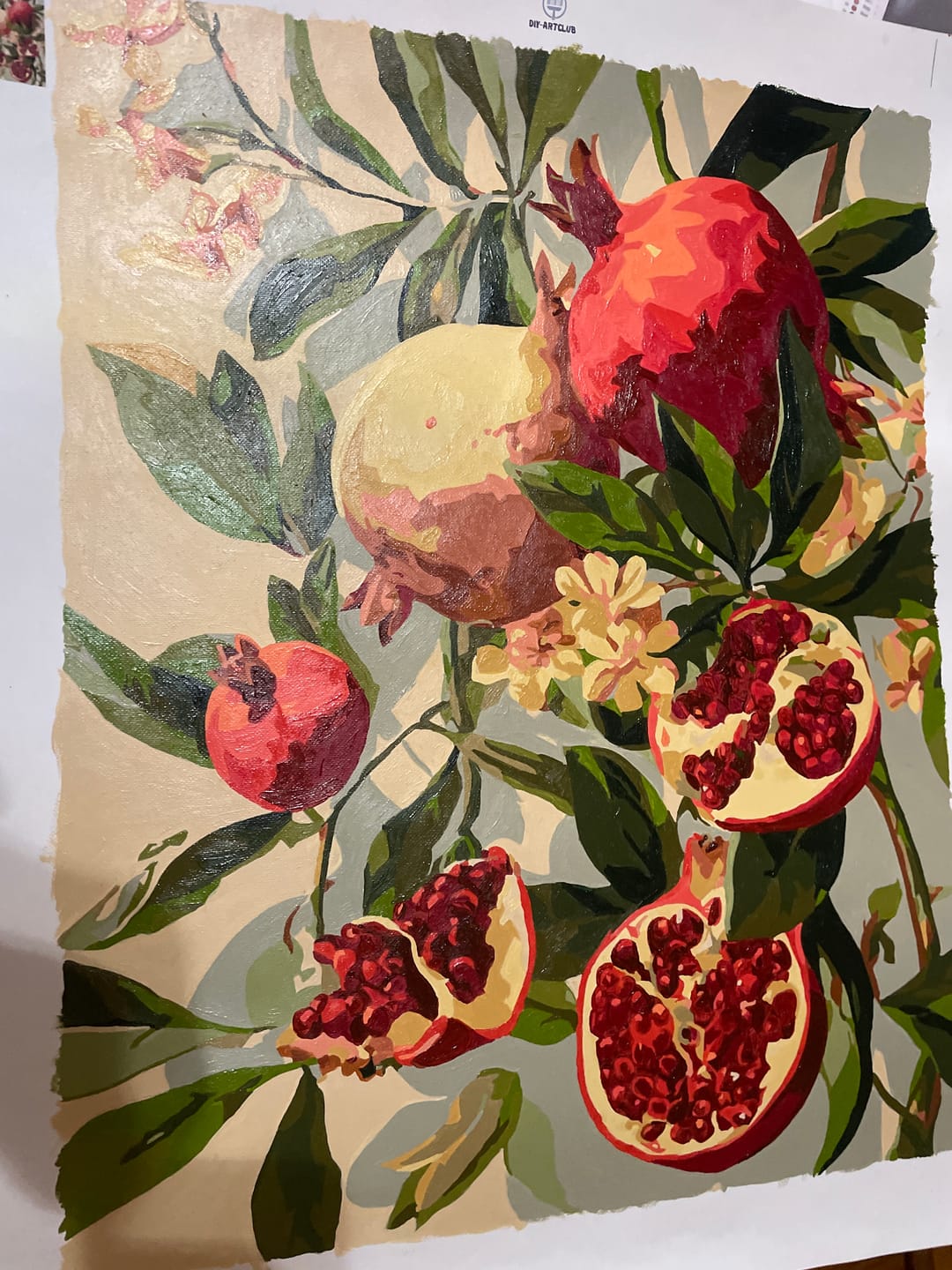 Customer photo review of Blooming pomegranates | Paint by Number