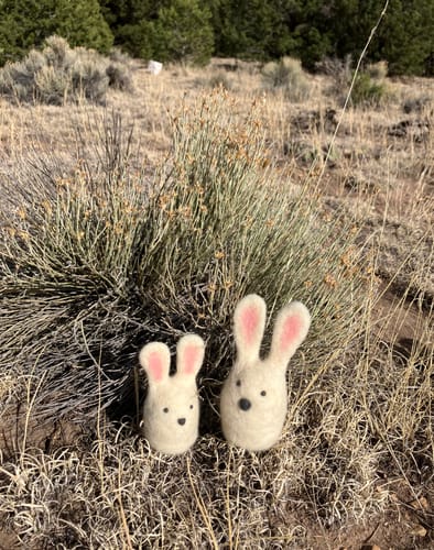 Customer photo review of Bunny Friends Mini Needle Felting Kit