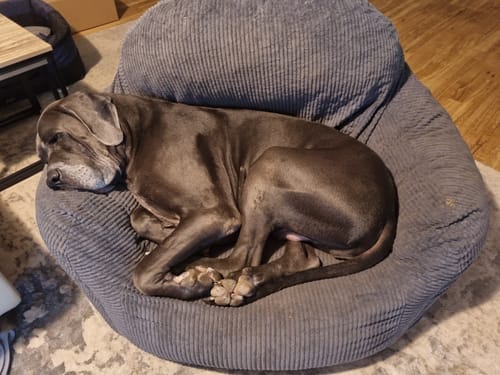Customer photo review of Luxury Foam Relax Chair