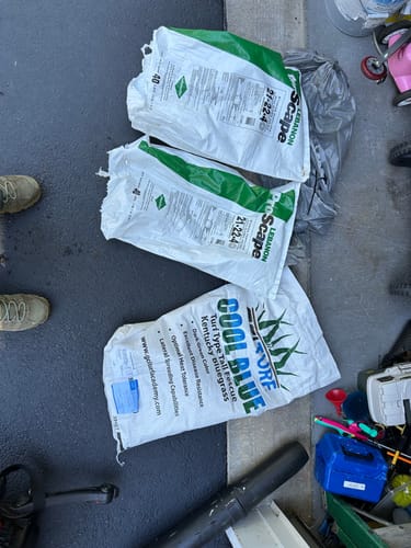 Customer photo review of GCI Turf Type Tall fescue Grass Seed