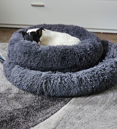 Customer photo review of Puppery Hundebett Wolke 7 - Das Original