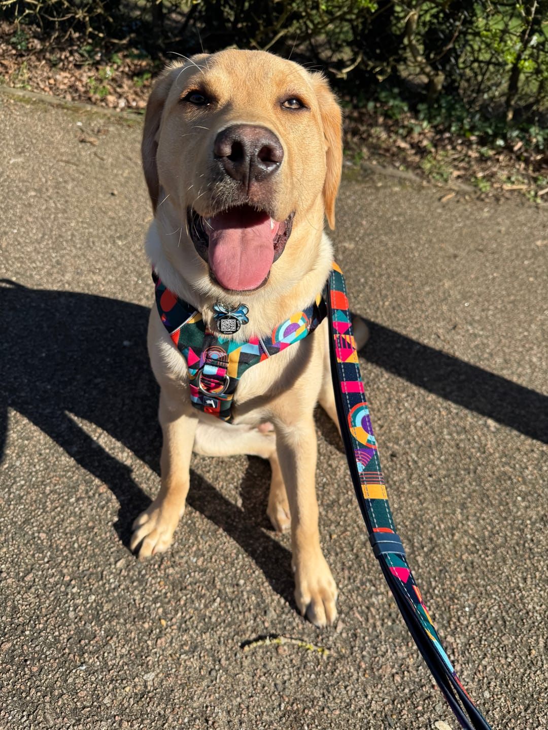 Customer photo review of Multi-Way Lead