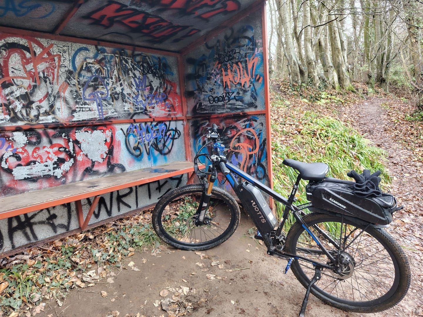 Customer photo review of DUOTTS C29 Electric Bike Ship to UK