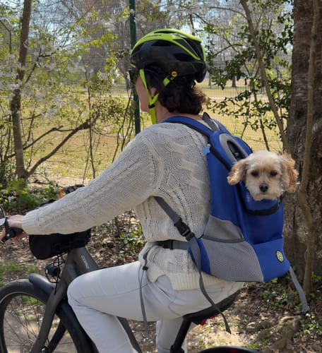 Customer photo review of The Voyager - Dog Backpack Carrier - For Small/Medium Pets