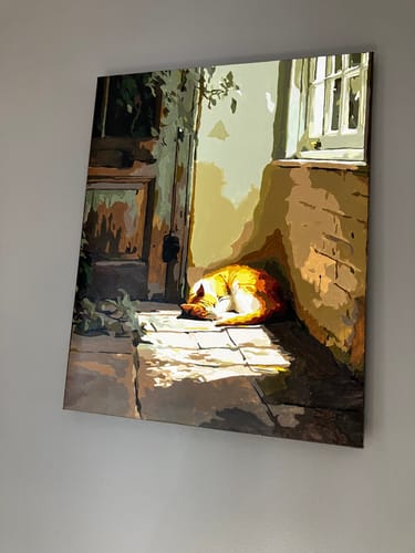 Customer photo review of Sleeping Cat Sunny Corner