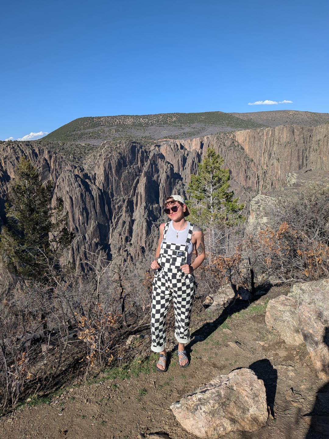 Customer photo review of Born Bad Washed Overalls - Checkered