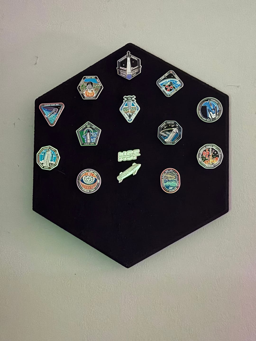 Customer photo review of SpaceX Starship Flight Pin Collection & Display Mount