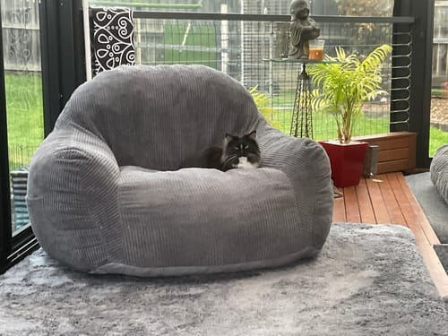 Customer photo review of Luxury Foam Relax Chair