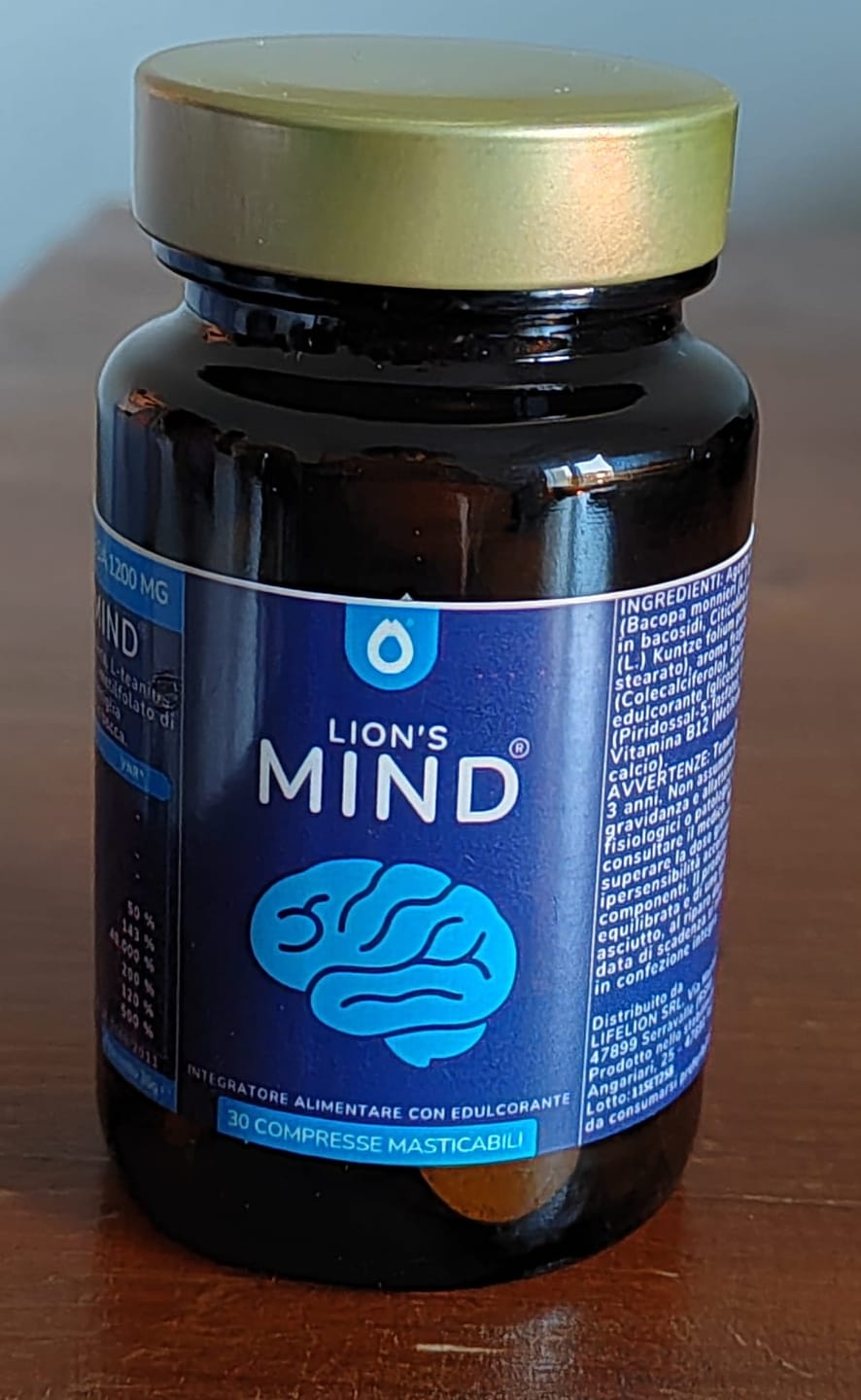 Customer photo review of Lion's Mind