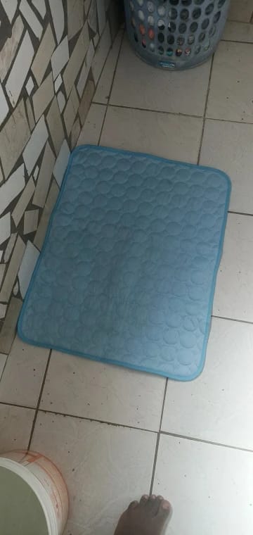 Customer photo review of TruePet Kühlmatte für Hunde & Katzen | Selbstkühlend ohne Strom | XS bis 2XL