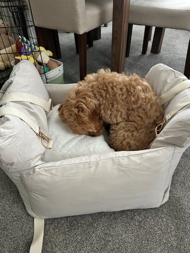 Customer photo review of Marshmallow | The Puffer Car Seat