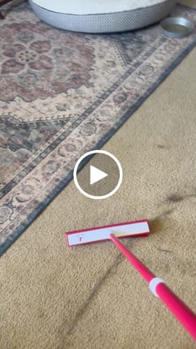 Customer video review of IndigoPet Hair Removal Broom