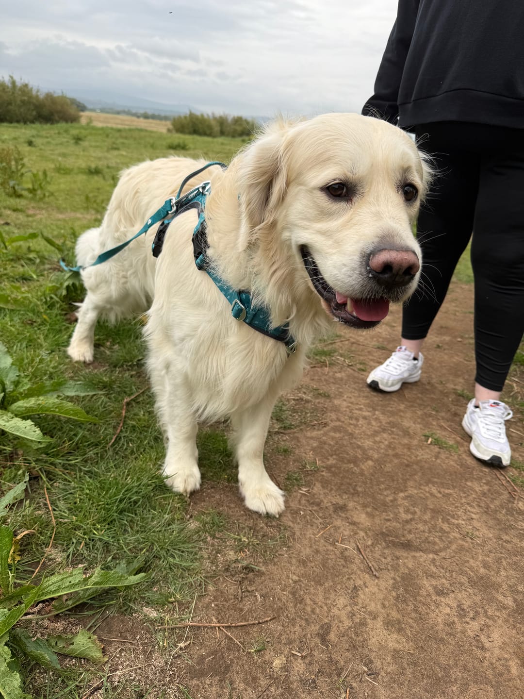 Customer photo review of Tidal Waterproof Longline