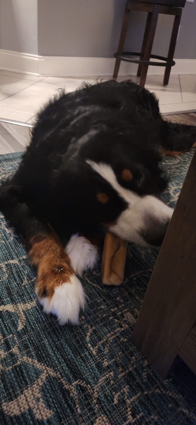 Customer photo review of Himalayan Yak Chew (MEGA)