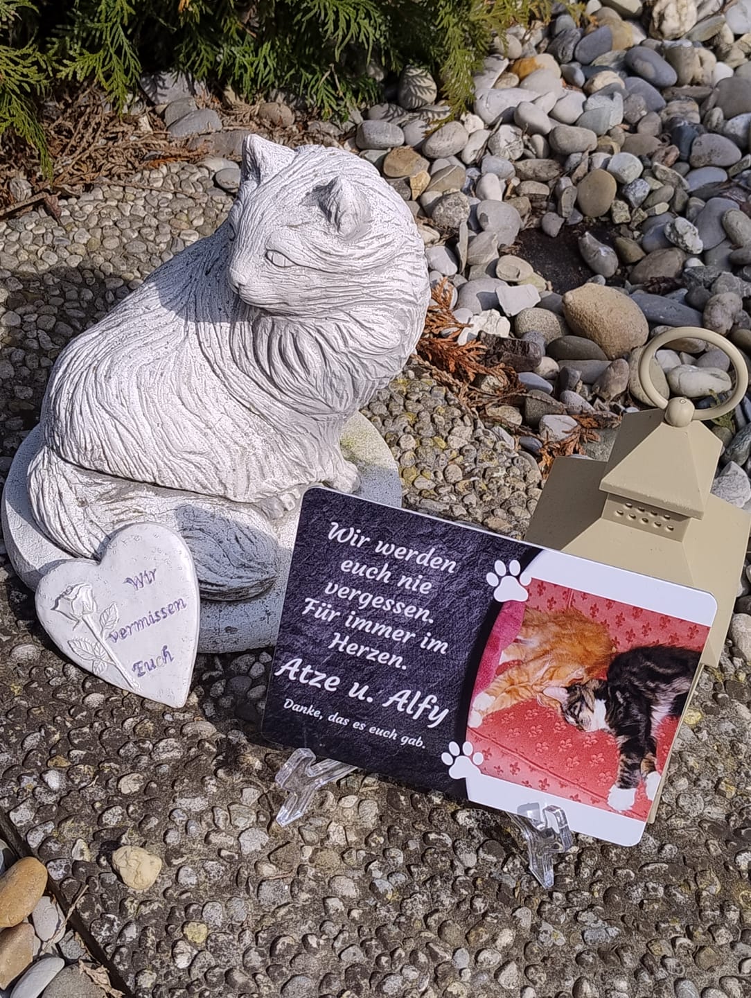 Customer photo review of Katzen Gedenktafel mit Foto & Spruch (UV- & Wetterfest)