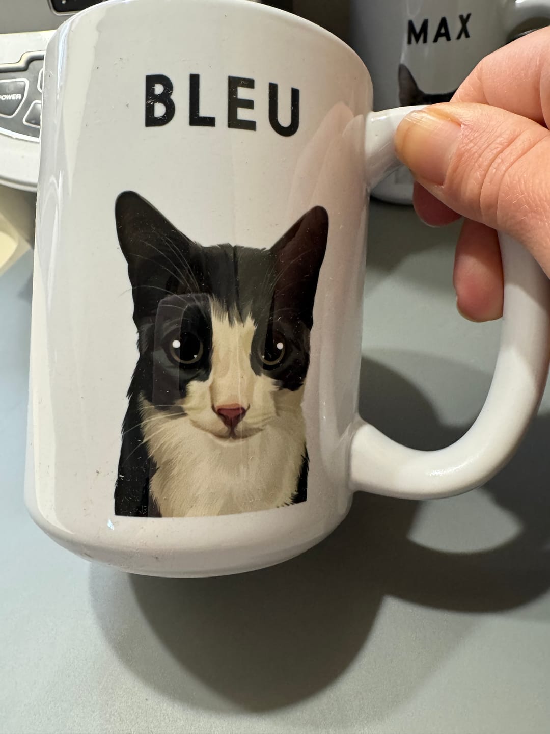 Customer photo review of Custom Pet Portrait Mug