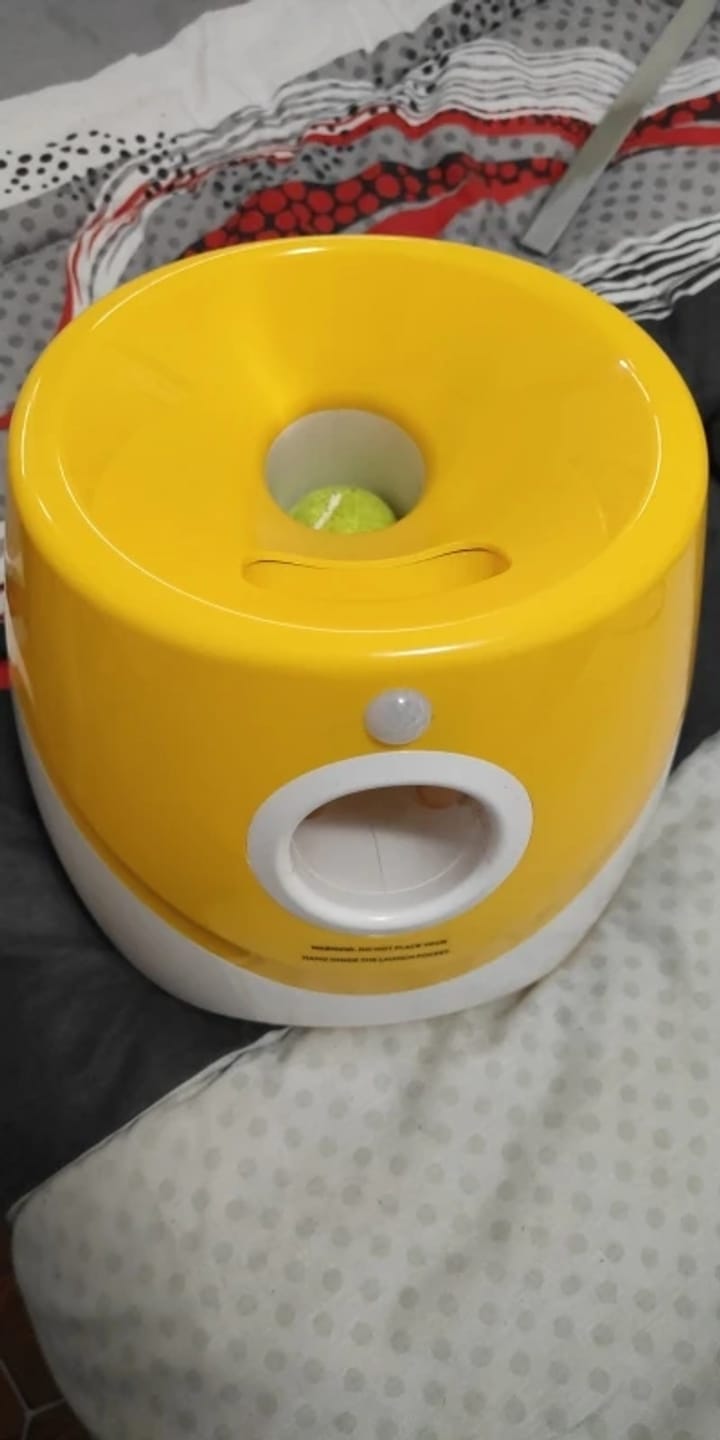 Customer photo review of Jirah Automatic Dog Ball Launcher™