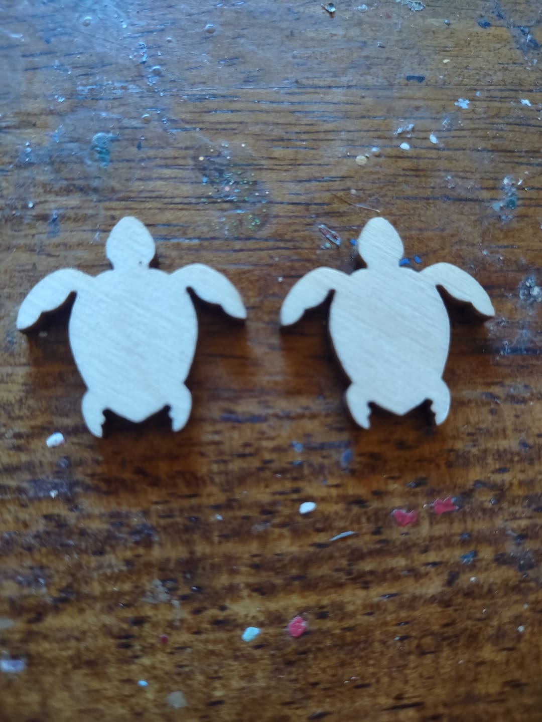 Customer photo review of Unfinished Wood Turtle Shape - Craft - up to 46" DIY
