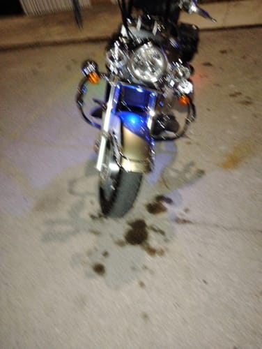 Customer photo review of Easy Install Moto LED Light Kit