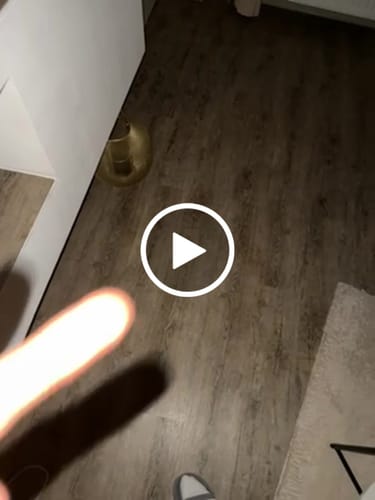 Customer video review of 🍦 Gelato Prerolls - POWER LVL: 4/5