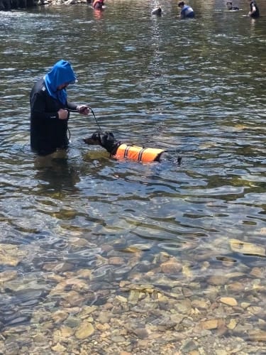 Customer photo review of TruePet Hunde-Schwimmweste mit Rettungsgriff | Reflektierend | Verstellbar | XXS-XXL