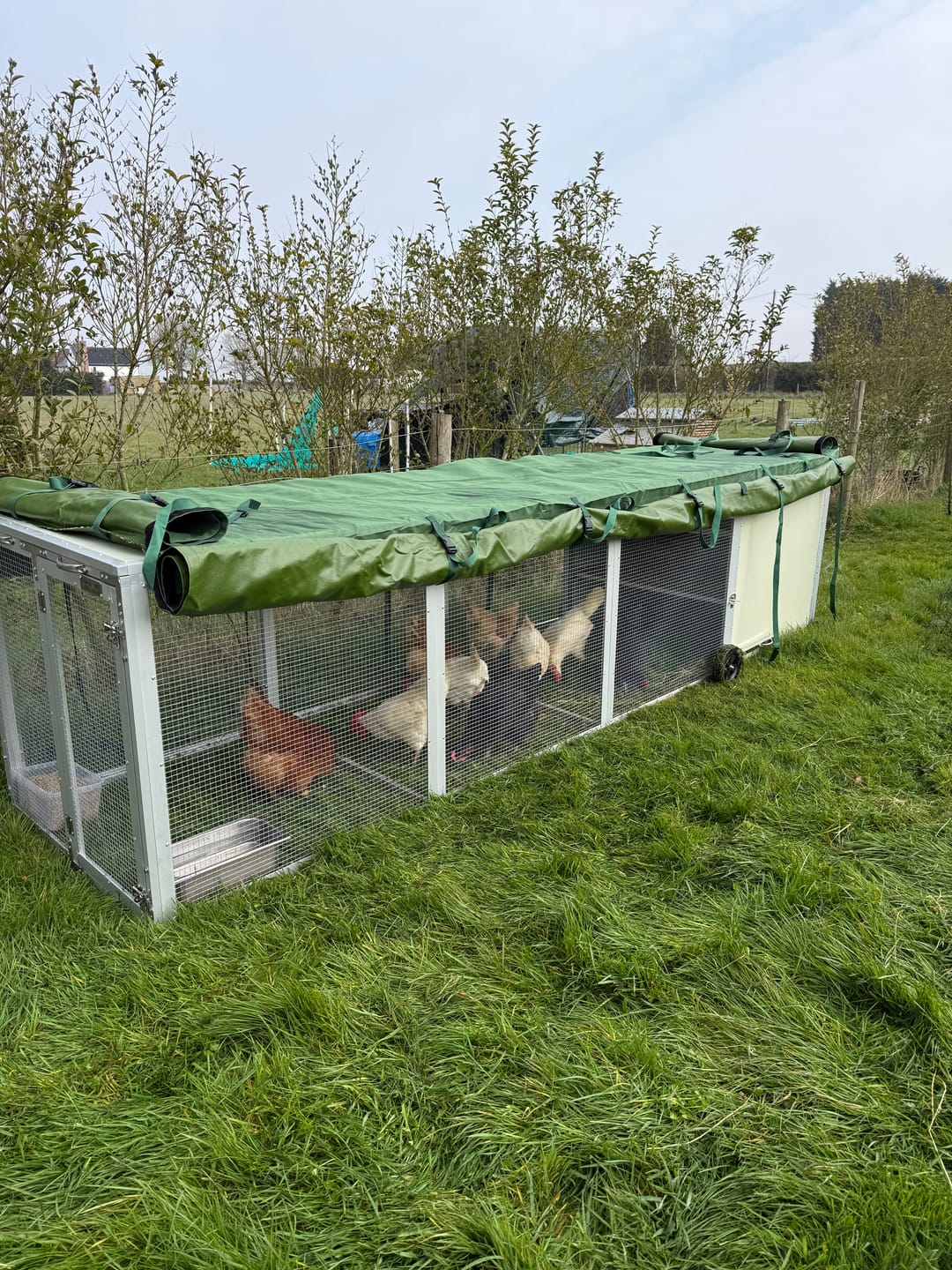 Customer photo review of Mobile Chicken Coop / Chicken Tractor