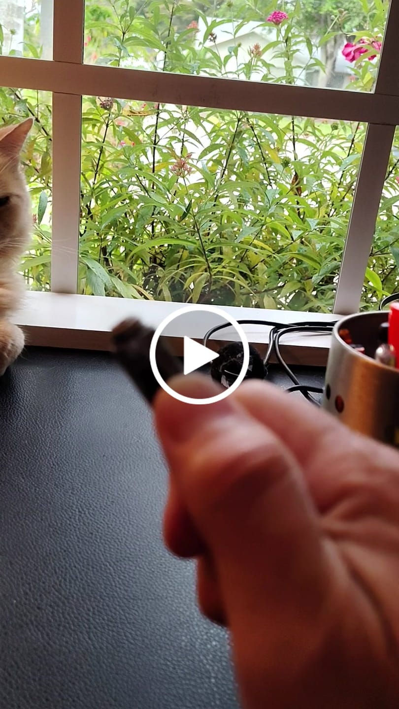 Customer video review of VT Tactical OTF Pen
