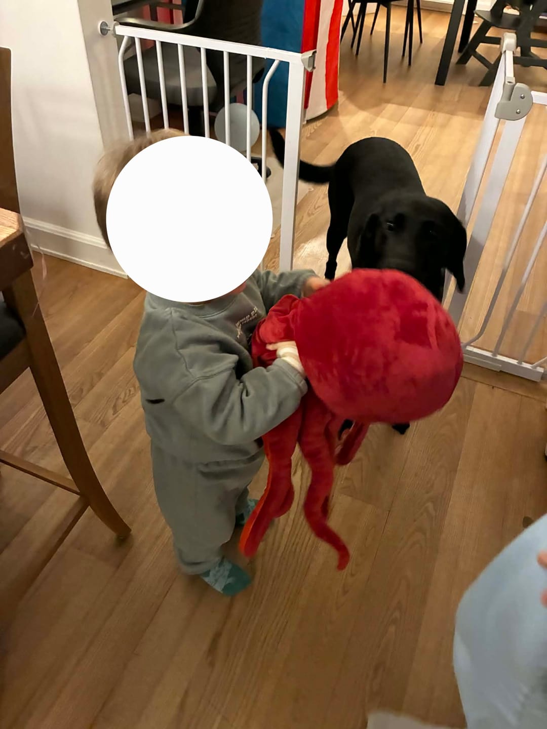 Customer photo review of Red Octopus Soft Stuffed Plush Toy
