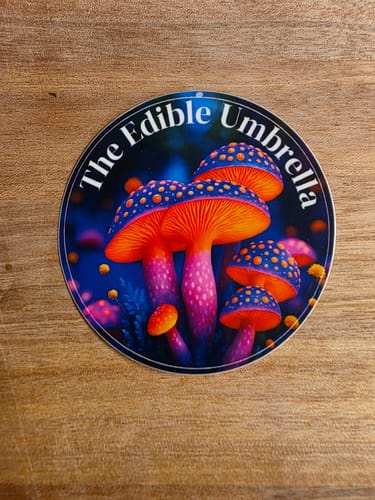 Customer photo review of 150 Custom 3" Laminated Vinyl Stickers