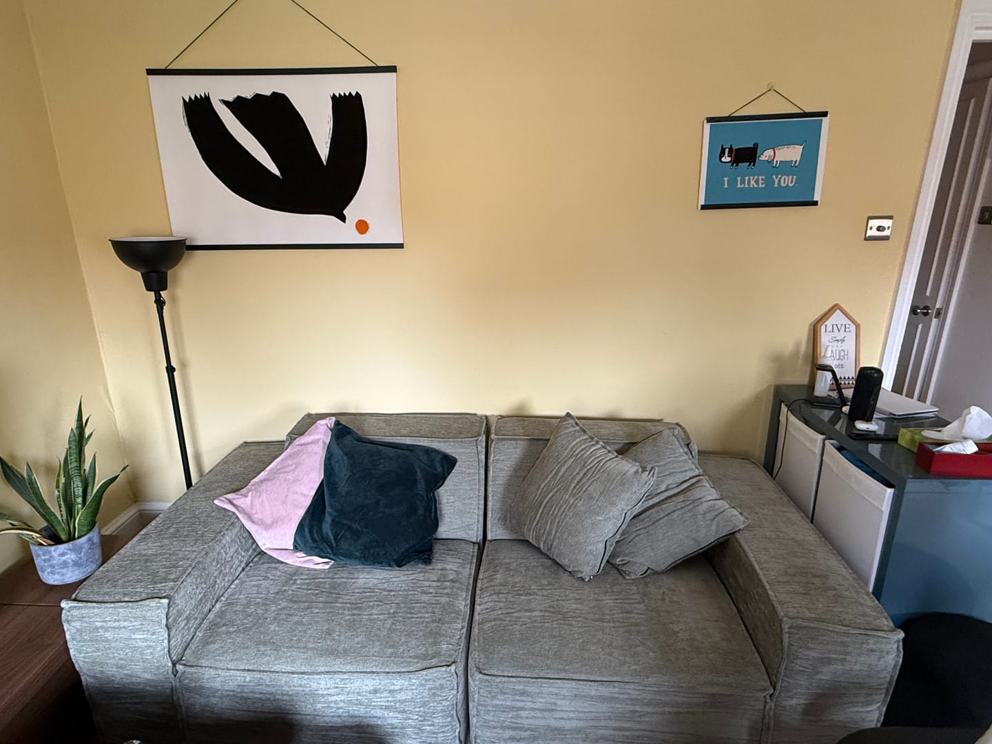 Customer photo review of M1 Sofa Loveseat