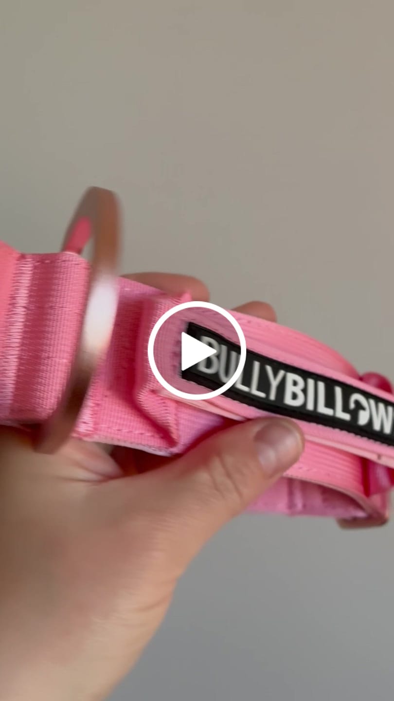 Customer video review of 5cm Lighter Combat® Collar | With Handle Secure Clip - Pink x Pink