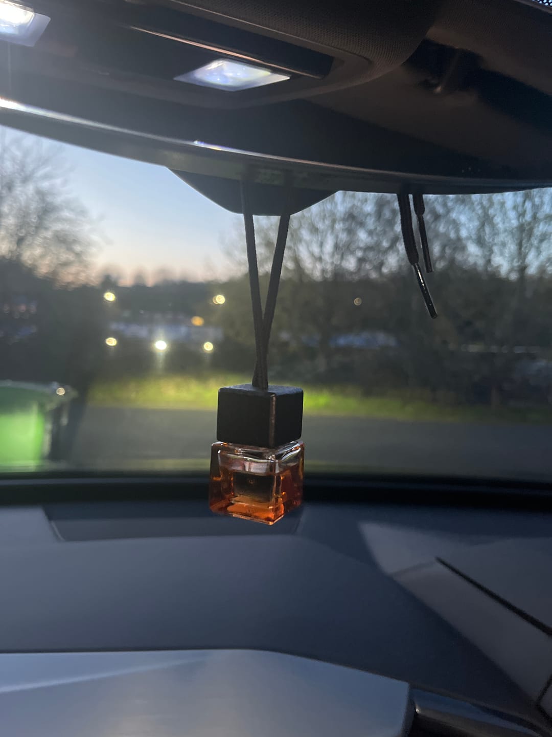 Customer photo review of The Gentleman Car Diffuser