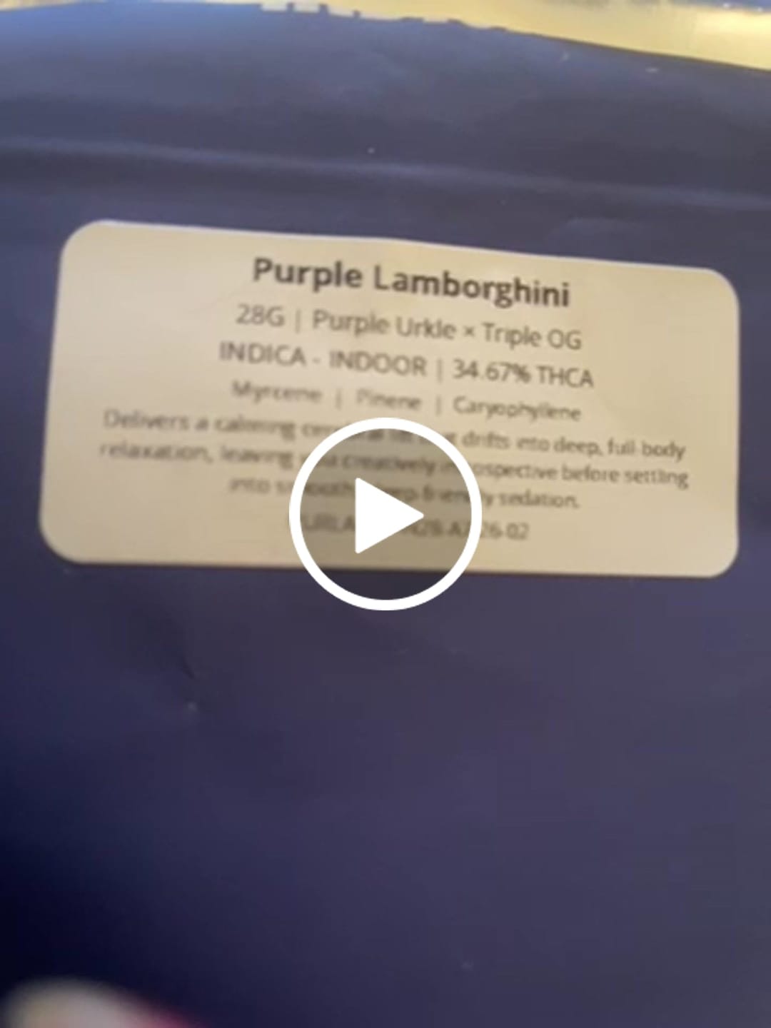 Customer video review of Purple Lamborghini