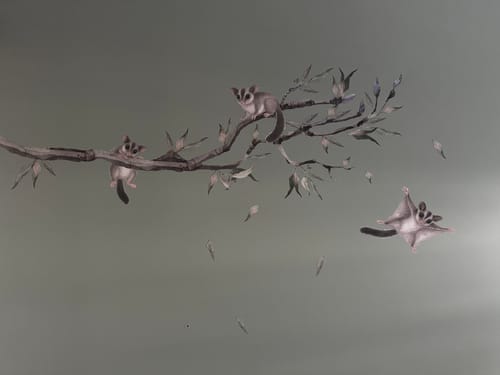 Customer photo review of Sugar Glider Babies Set