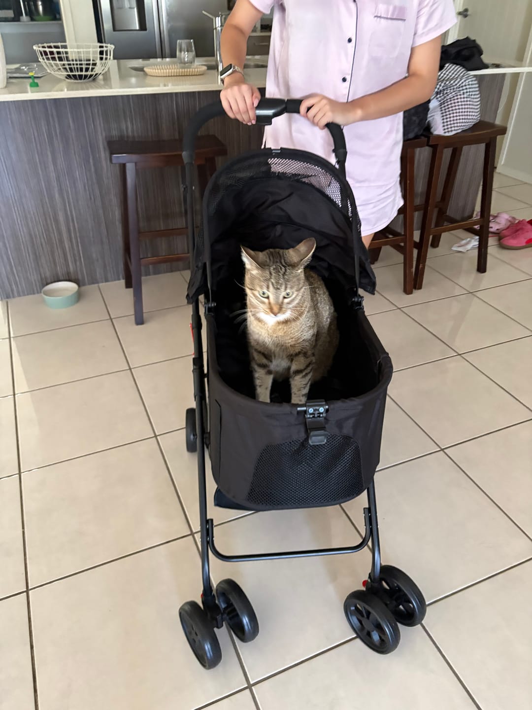 Customer photo review of Pet Stroller 3 in1Dog Cat Pram Carrier Foldable Pushchair Outdoor 4 Wheels