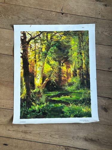 Reviewer's finished Forest Scene paint by numbers, showing the complete, vibrant painting of a forest with dappled sunlight.