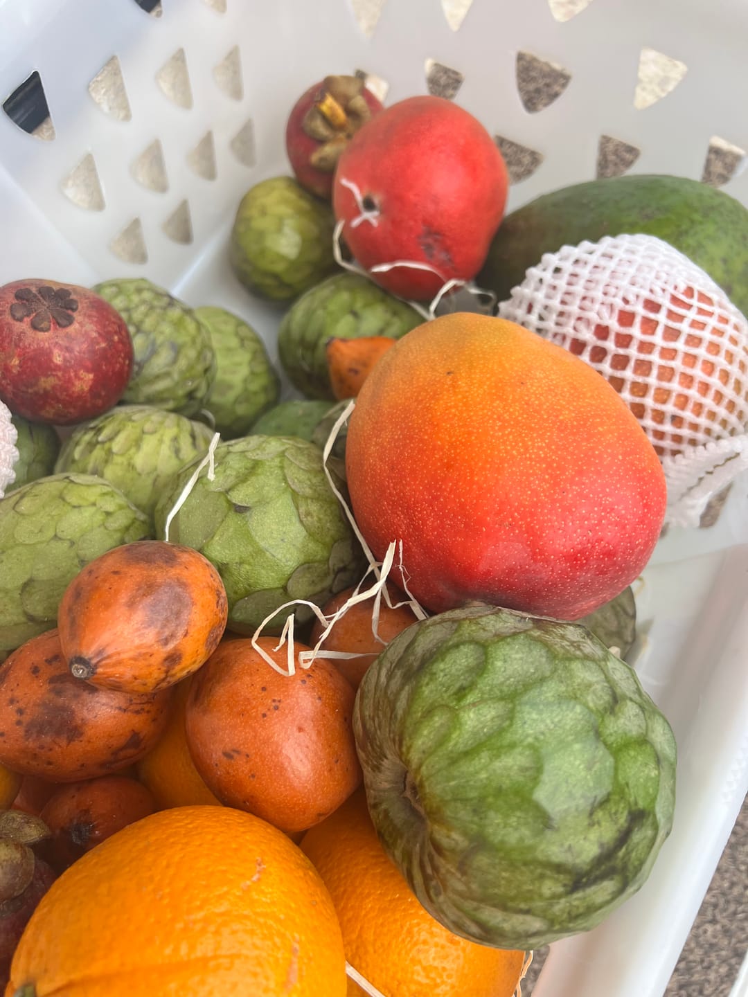 Customer photo review of Cherimoya Bio Hochernte-Retterbox Sonderaktion % 4kg