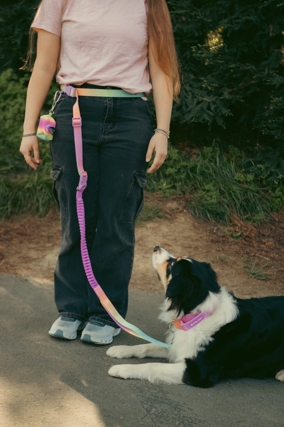 Customer photo review of Multipurpose Seatbelt Handsfree Leash & Poop Bag Holder Set - Pastel Icing