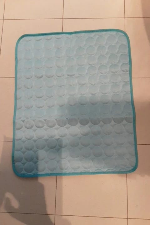 Customer photo review of TruePet Kühlmatte für Hunde & Katzen | Selbstkühlend ohne Strom | XS bis 2XL