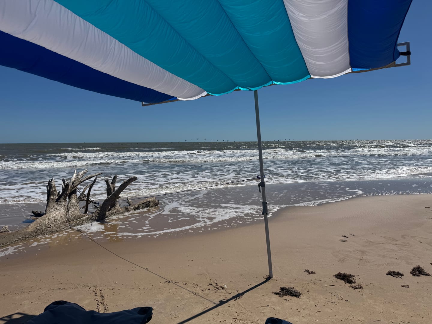 Customer photo review of ShadeSock - Wind-Inflating, Silent Beach Shade