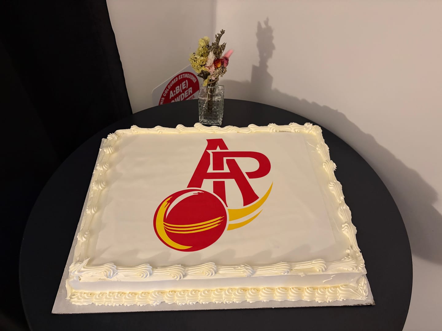 Customer photo review of A3 Rectangle Custom Edible Icing Image