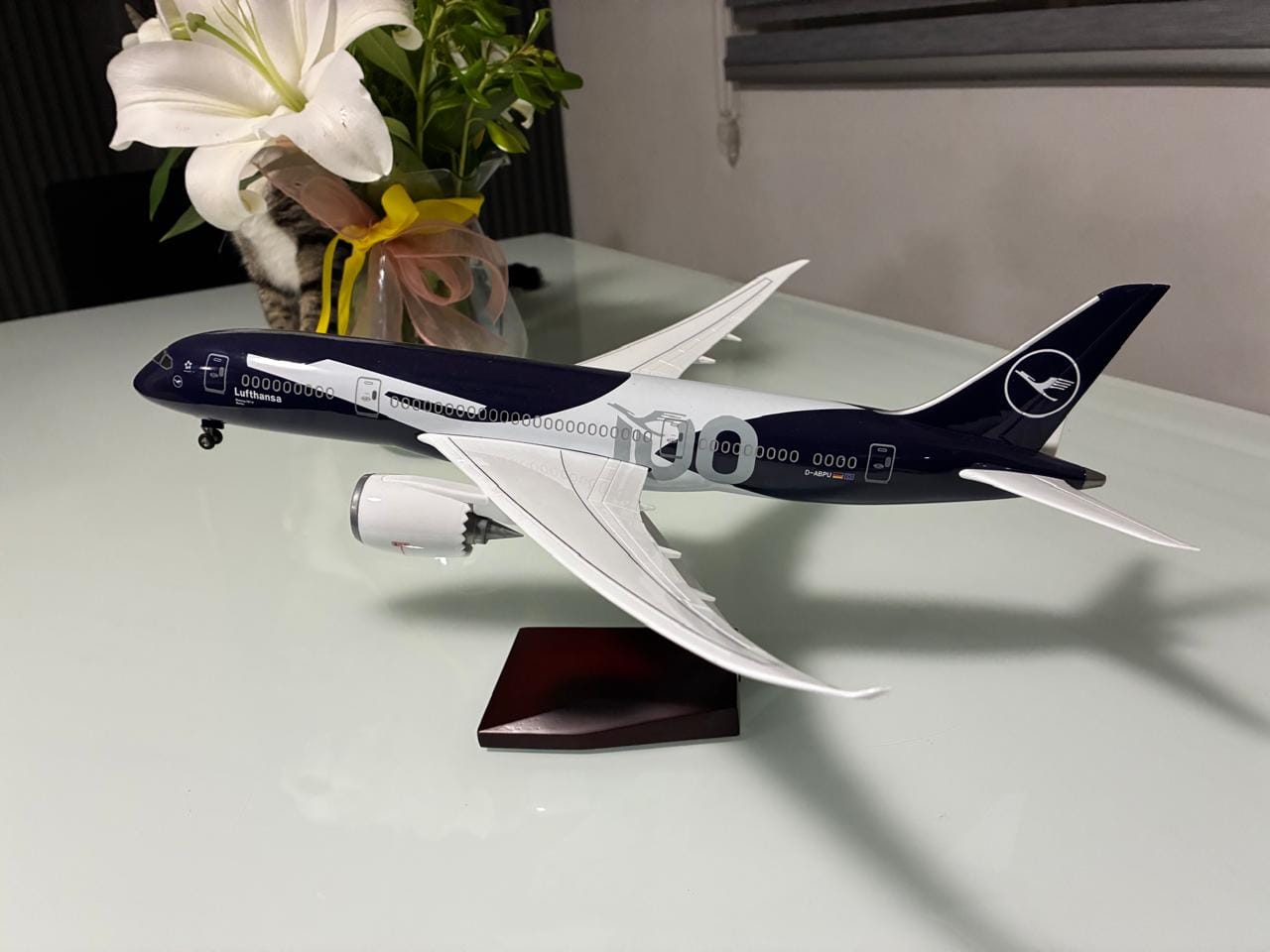 Customer photo review of Boeing 787-9 Lufthansa 100 Years Commemorative – 1:145 Scale Model
