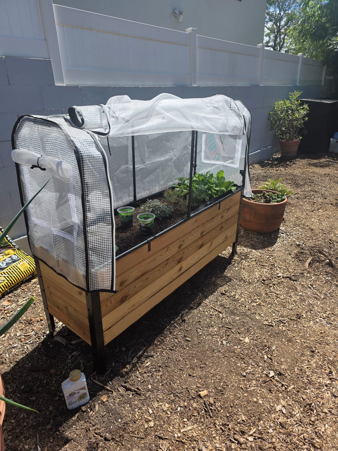 Customer photo review of Greenhouse Cover