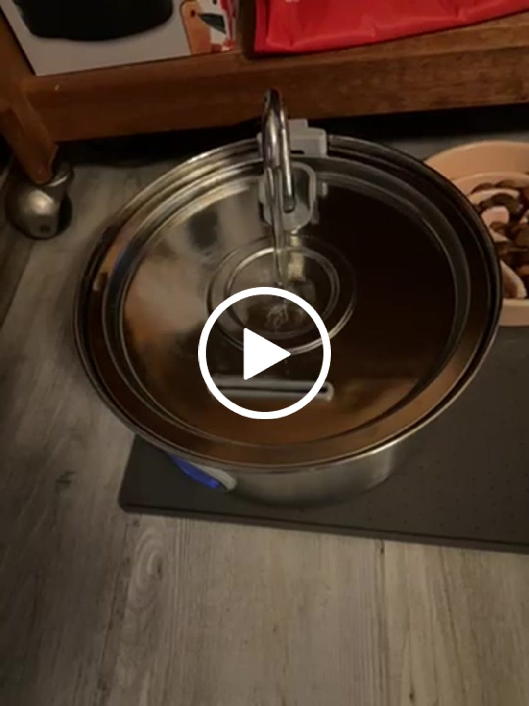 Customer video review of Pawdrate™ Filtered Water Fountain