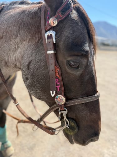 Customer photo review of Unicorn Conchos