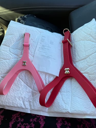 Customer photo review of Boneflex Harness Red Gold Bones
