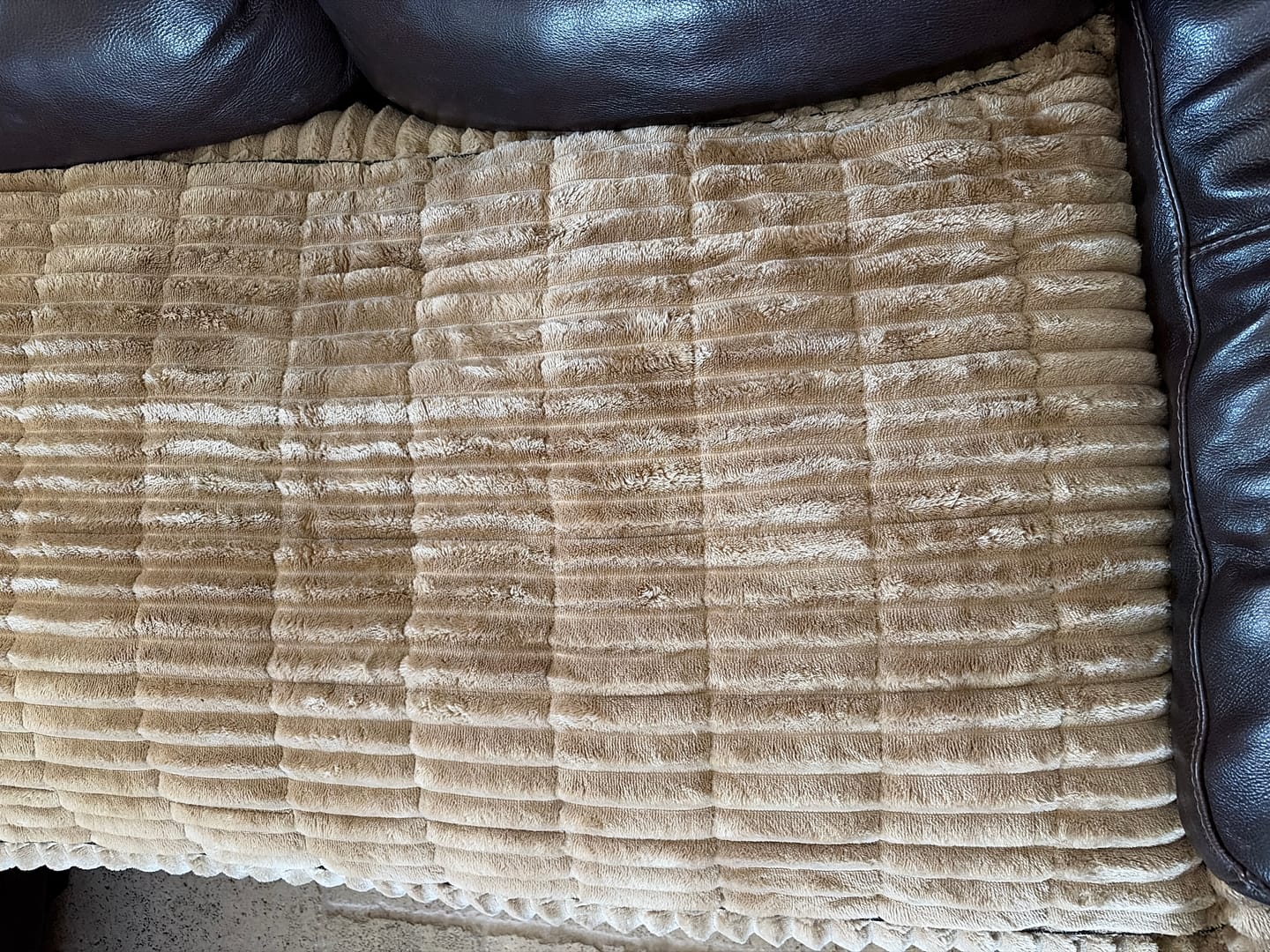 Customer photo review of LuxeLounge™ Couch Cover - Premium Protection Dogs Love