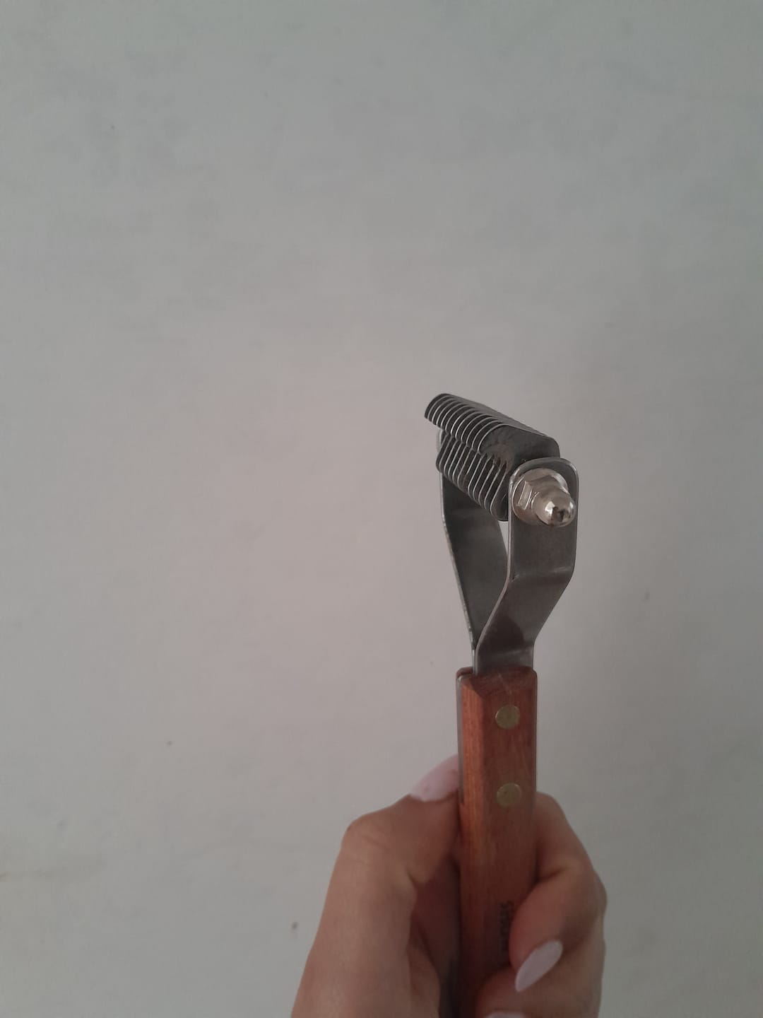 Customer photo review of Slanatore per cani e gatti