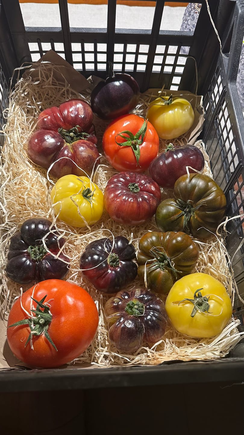 Customer photo review of Tomaten Mix von Julian Box 3kg