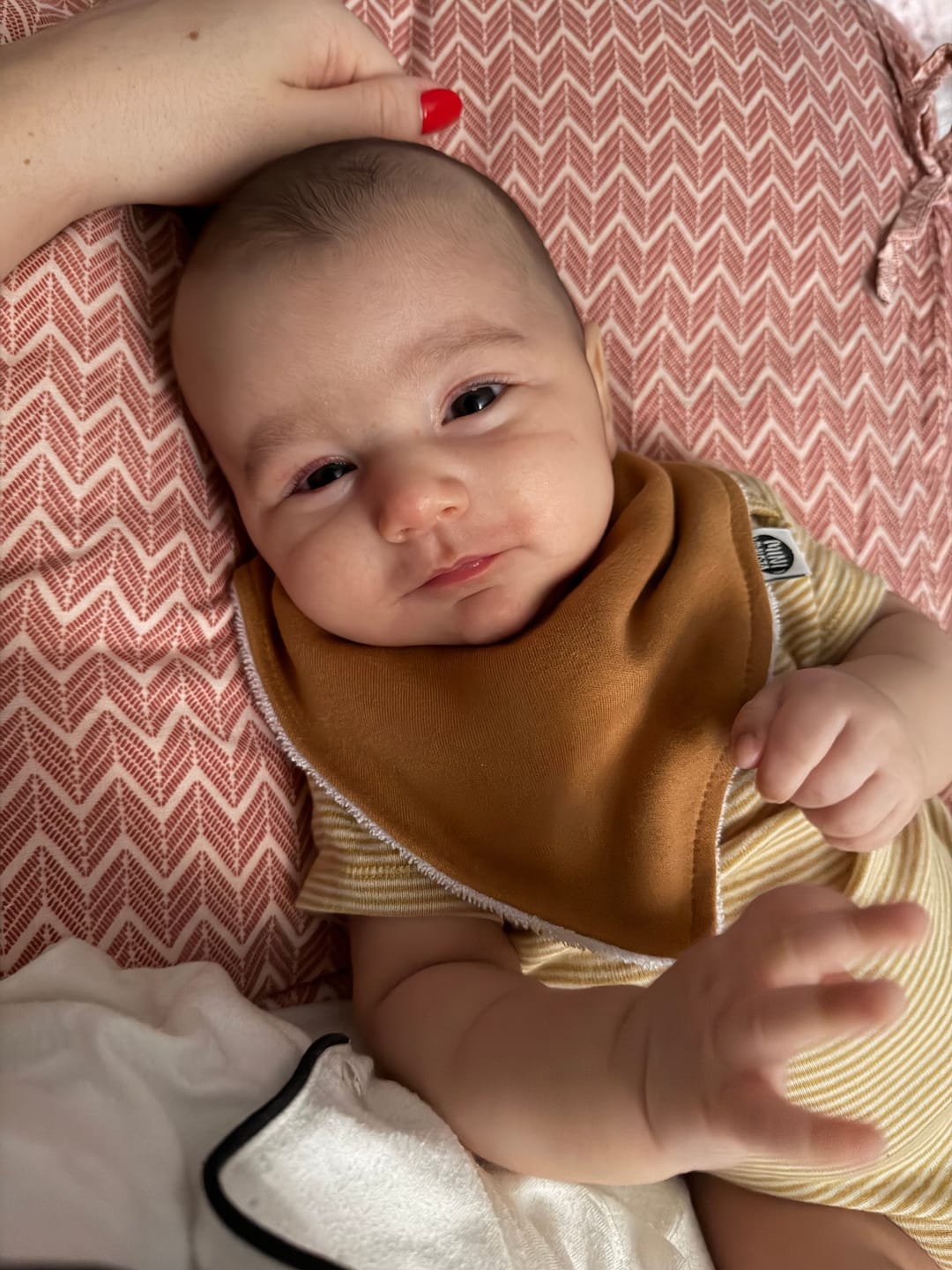 Customer photo review of Babador Bandana Unissex | Liso Goldie